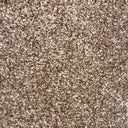 Oatmeal Swatch