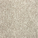 Sand Swatch