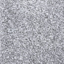Silver Swatch