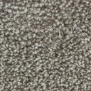 Beige Swatch
