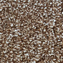 Caramel Swatch