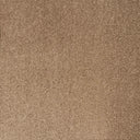 Biscuit Swatch