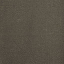 Slate Swatch