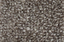 Fawn Swatch