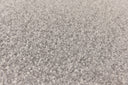 Silver Swatch