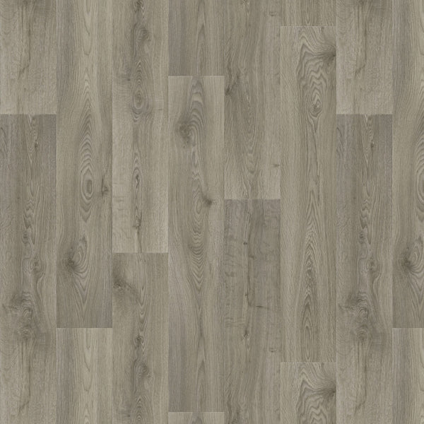 Mushroom Oak