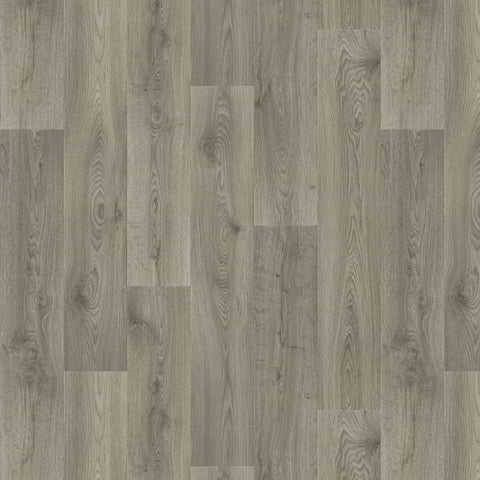 Mushroom Oak
