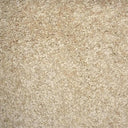 Balsa Swatch
