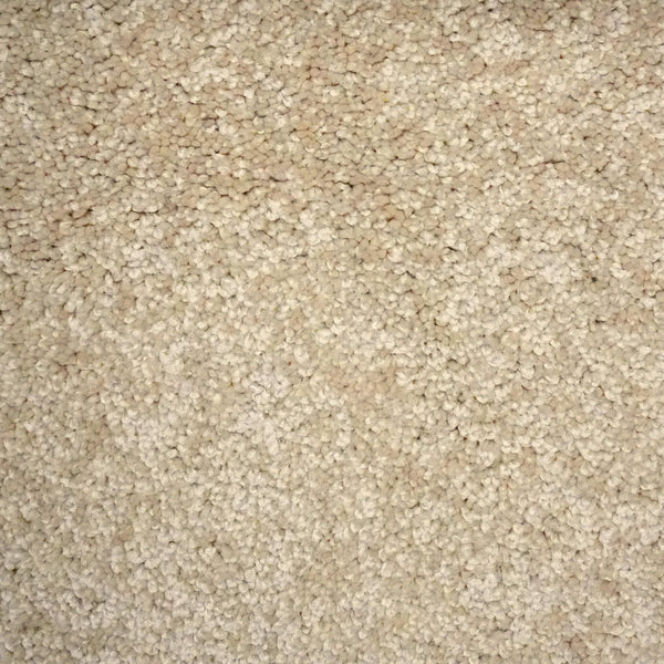 Balsa
