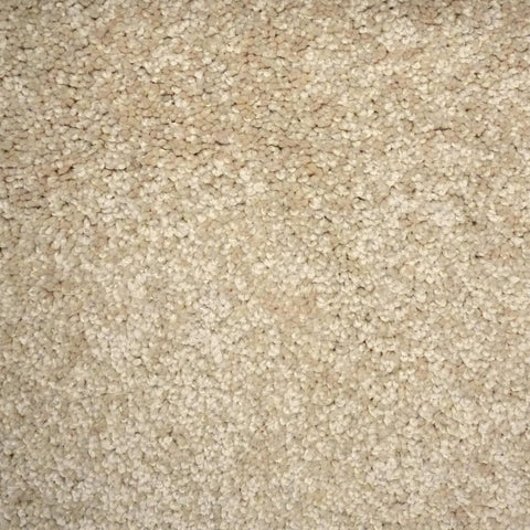 Balsa