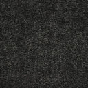 Black Swatch