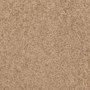 Fawn Swatch