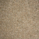 Nutmeg Swatch