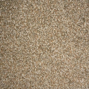 Nutmeg