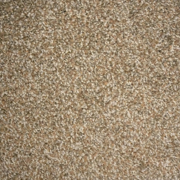 Nutmeg