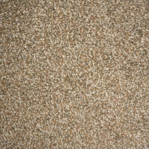 Nutmeg