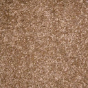Spice Swatch