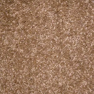 Spice