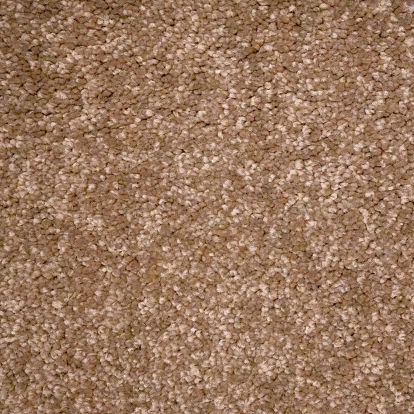 Spice