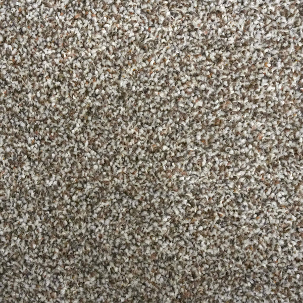 Biscuit