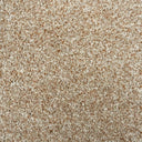 Caramel Swatch