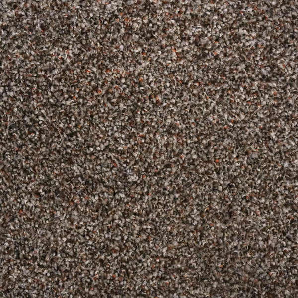 Mocha