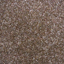 Pecan Swatch