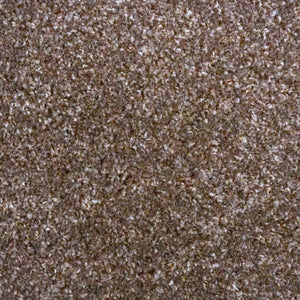 Pecan