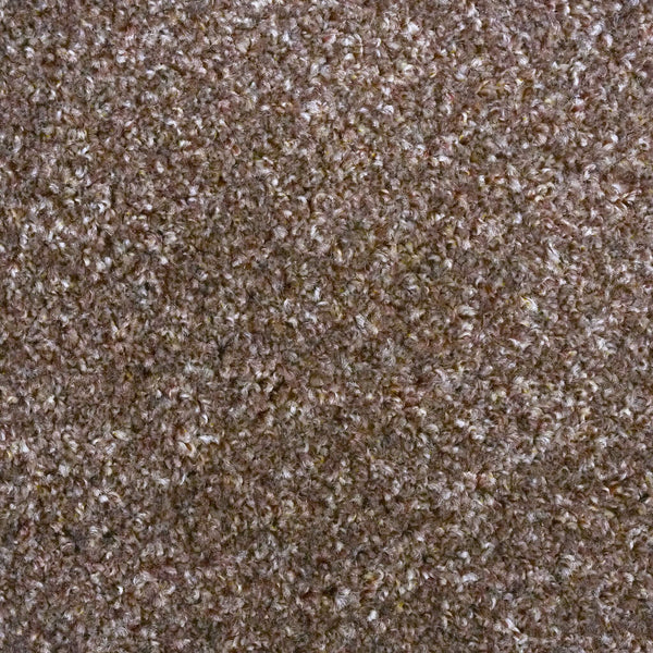 Pecan