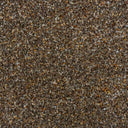 Toffee Swatch