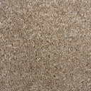Truffle Swatch