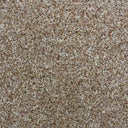 Walnut Swatch