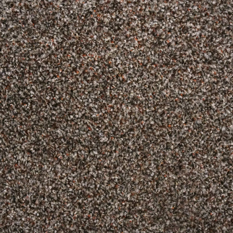 Mocha