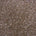 Pecan