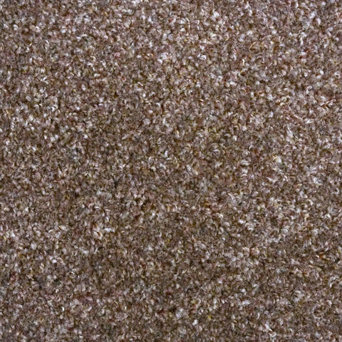 Pecan