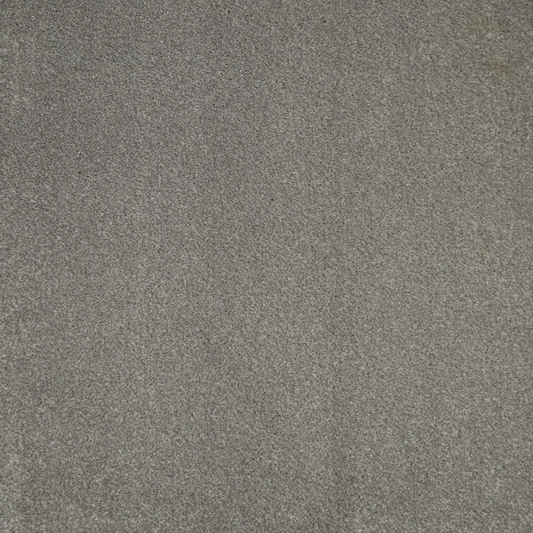 Shark Grey