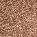 Mocha Swatch