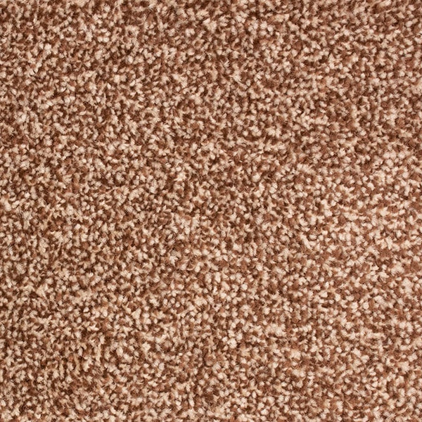 Mocha