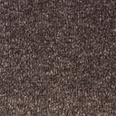 Shadow Swatch