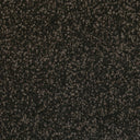 Anthill Swatch