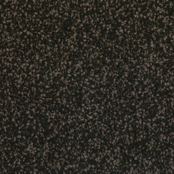 Anthill