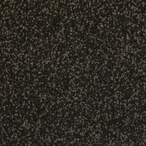 Anthill
