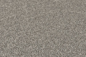 Pebble