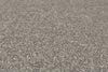 Pebble