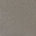Pebble Swatch