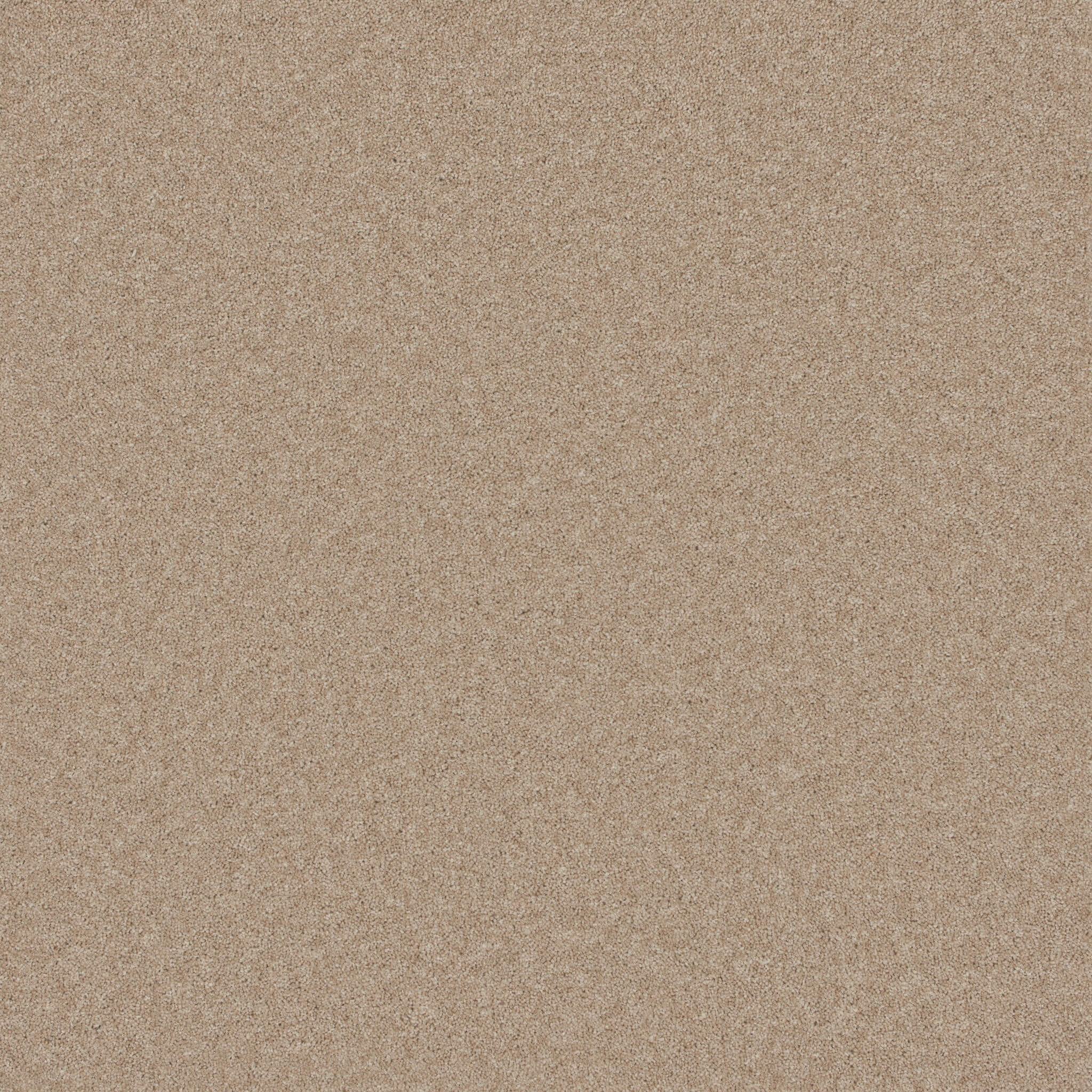Almond