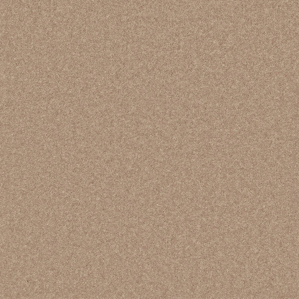 Barley