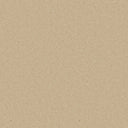 Beige Swatch