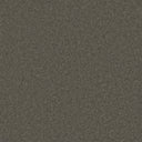 Charcoal Swatch