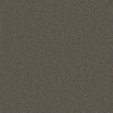 Charcoal